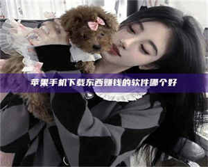 敦煌苹果手机下载东西赚钱的软件哪个好 第1张